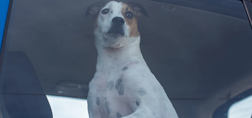 Car Lockout Solutions in Pacific Grove, California